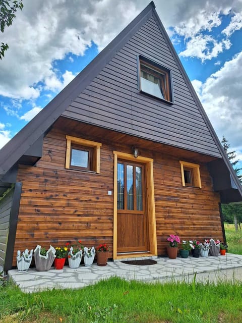 House Bojana House in Montenegro