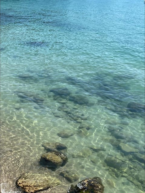 5 Cinque Terre Monolocale in Centro a La Spezia Apartment in La Spezia