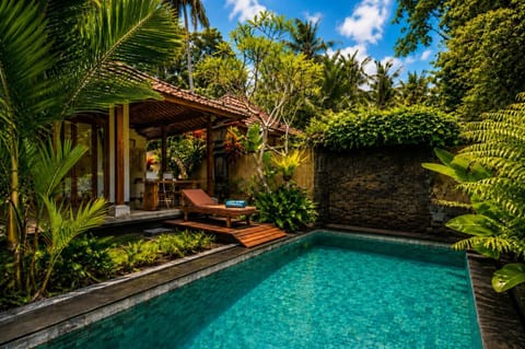 Property building, Day, Garden, Garden view, Pool view, Swimming pool, sunbed