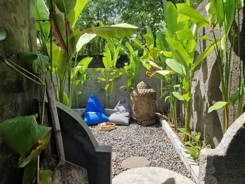 Spring, Day, Garden, Garden view
