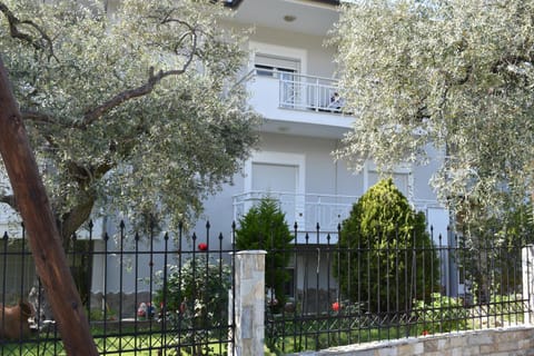 Property building, Garden, Garden view