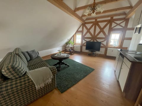 Communal lounge/ TV room, TV and multimedia, Kitchen or kitchenette, Living room, Seating area