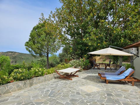 Patio, Day, Natural landscape, Garden, sunbed