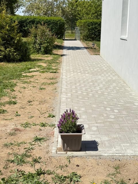 Ferienhaus Feldblick House in Greifswald