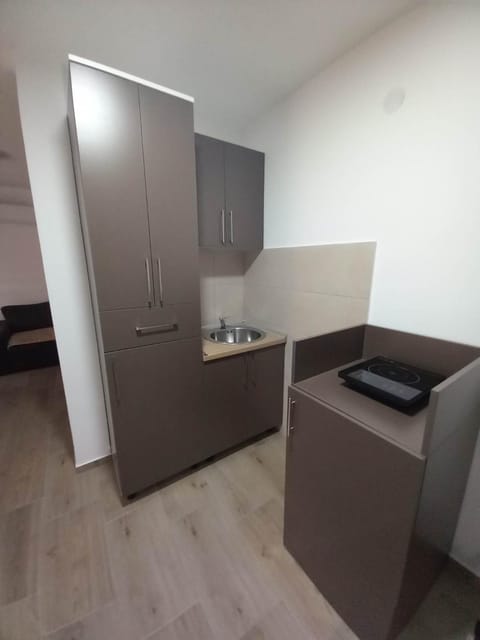 PČELICA Apartment in Serbia