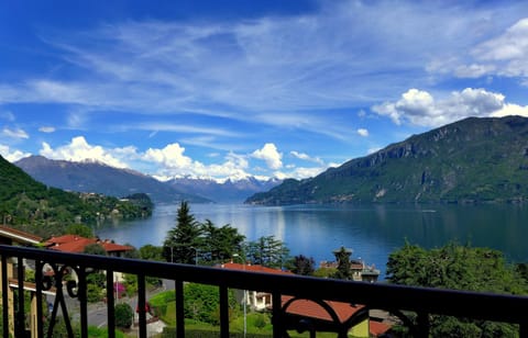 Lake view