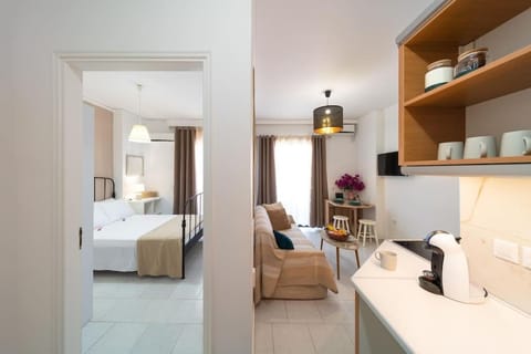 Bed, Kitchen or kitchenette, Living room, Photo of the whole room, Seating area, Bedroom