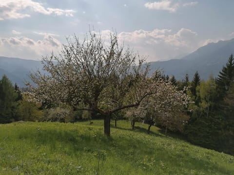 Baita Agaz House in Trentino-South Tyrol