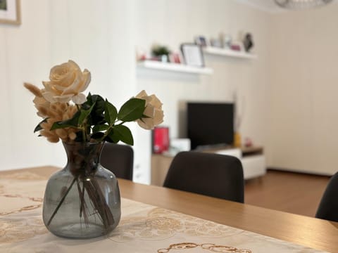 B Apartamentos Castelo Apartment in Viana do Castelo