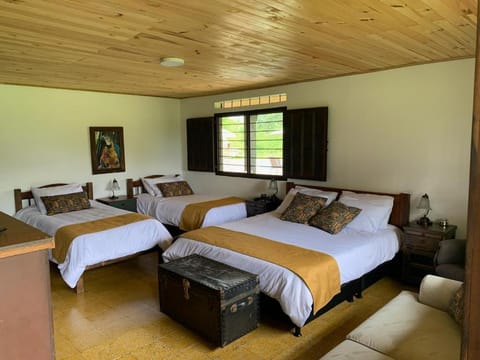 Bed, Photo of the whole room
