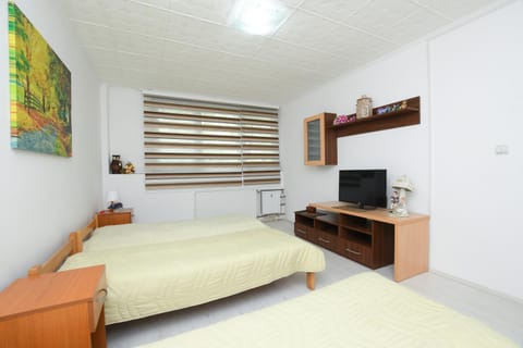 Apartman Aleksandar Apartment in Serbia