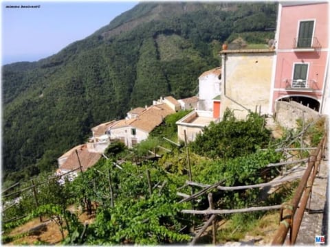 Property building, Natural landscape, Mountain view