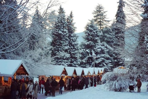 Casa Carolina Bed and Breakfast in Levico Terme