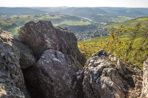 Ferienwohnungen Weitmann Apartment in Trier-Saarburg