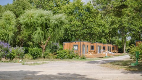 Property building, Natural landscape, Garden, Garden view
