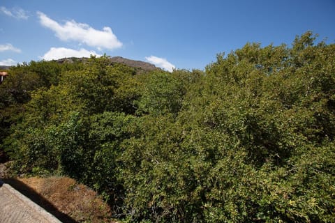 Michalis studio Apartment in Lasithi