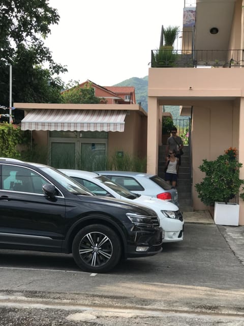 People, Garden, Snorkeling, Hiking, Cycling, Diving, Guests, group of guests