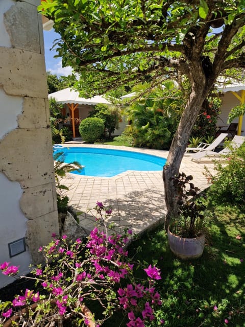 Garden view, Pool view, Swimming pool, Swimming pool, sunbed