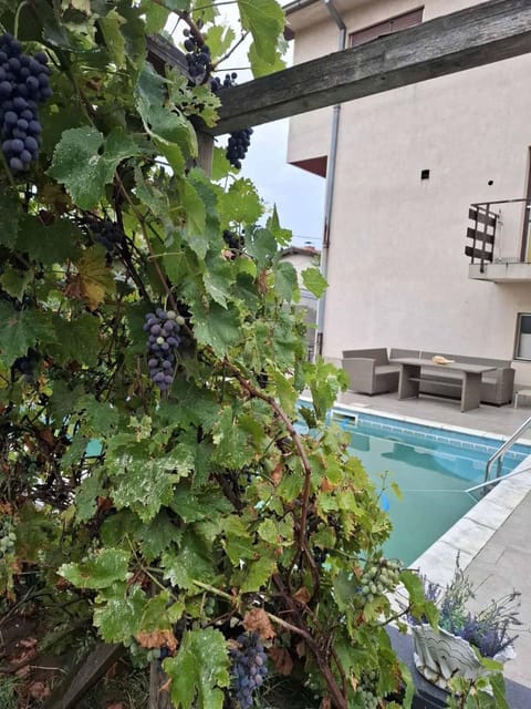 Cvrkut Ptica - Mladenovac Apartment in Serbia