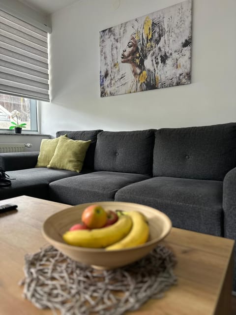 Damade apartments Apartment in Federation of Bosnia and Herzegovina