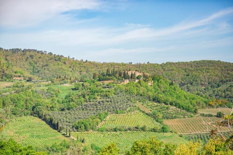 Nearby landmark, Natural landscape