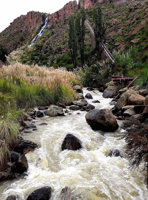 Natural landscape