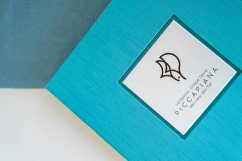 Piccapiana Sea View Attic Flat Apartment in La Spezia