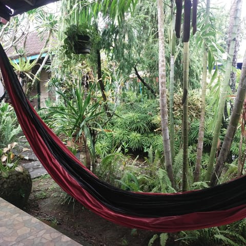 ComeBack GuestHouse Bed and Breakfast in North Kuta