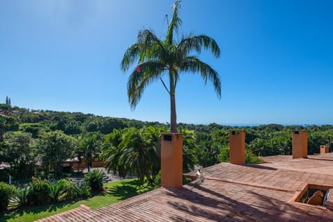 Natural landscape, View (from property/room)