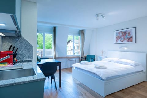 HITrental Riesbach Apartments Apartment in Zurich City