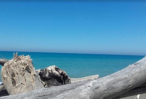 Casina al mare Apartment in Cecina