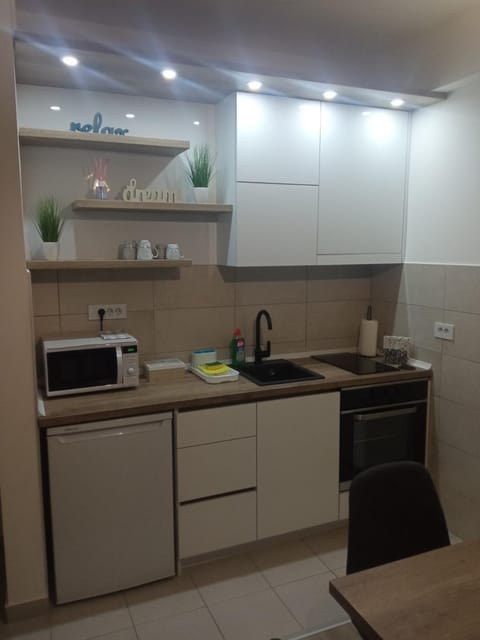 Kitchen or kitchenette, minibar, pet friendly, stove