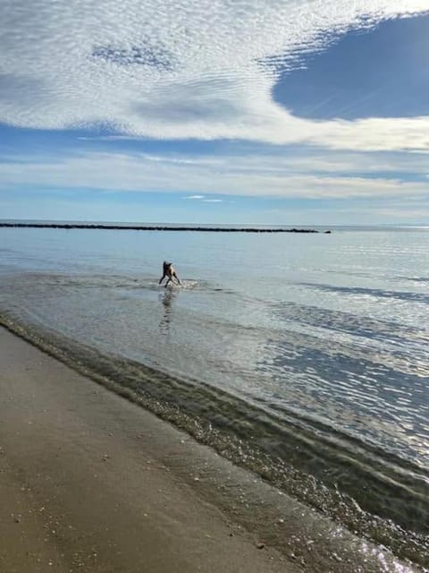 Beach, Sea view