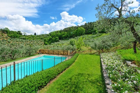 Garden, Garden view, Pool view, Swimming pool