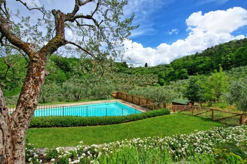 Garden, Garden view, Pool view, Swimming pool