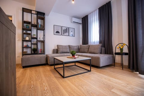 Living room, Seating area, air conditioner