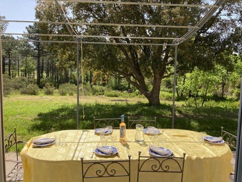 Patio, Garden, Garden view