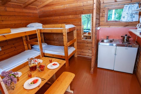 Kitchen or kitchenette, Photo of the whole room, Bedroom, bunk bed