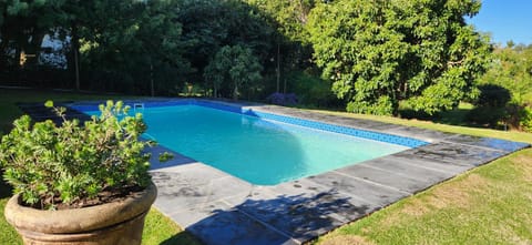 Garden, Garden view, Swimming pool, Swimming pool