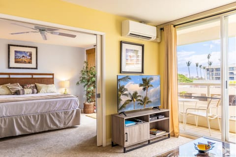 Bed, TV and multimedia, Balcony/Terrace, Living room, Bedroom, furniture, air conditioner