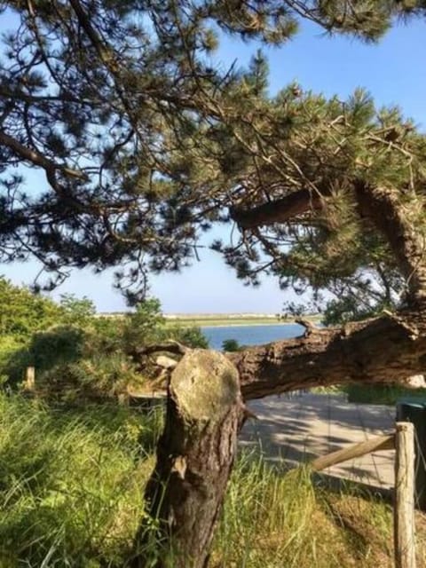 Studio bed & Strand Apartment in Scharendijke