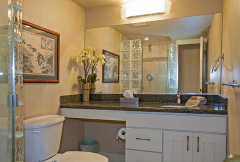 Kamaole Sands 10-417 Apartment in Wailea