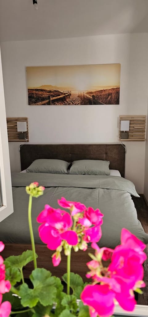Apartman Pontica Apartment in Muo