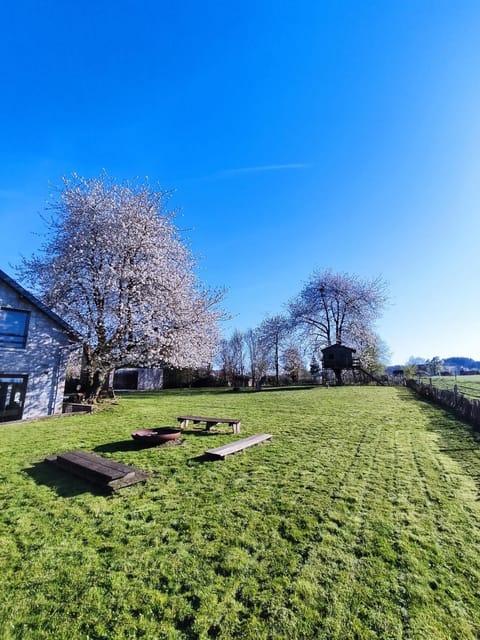 Spring, Day, Natural landscape, Garden, Garden view