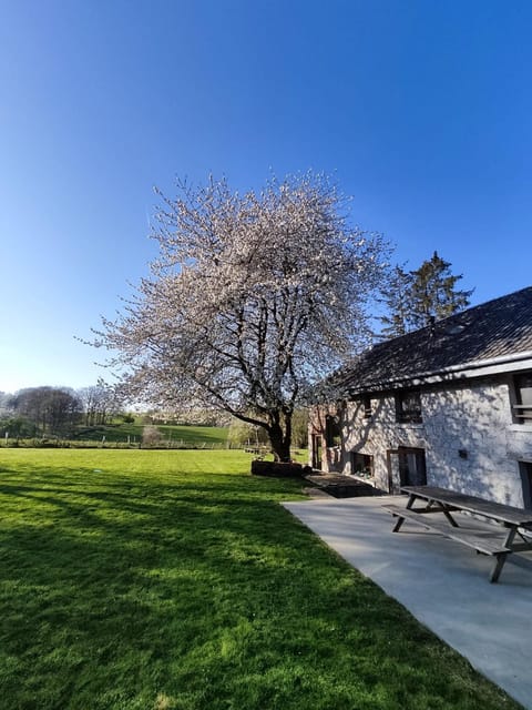 Property building, Spring, Natural landscape, Garden, Garden view