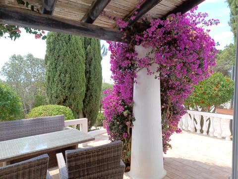 Patio, Balcony/Terrace, Garden view