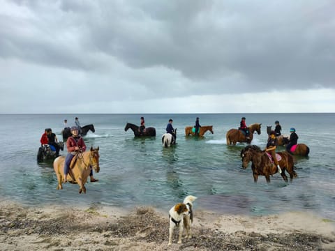 Horse-riding, children