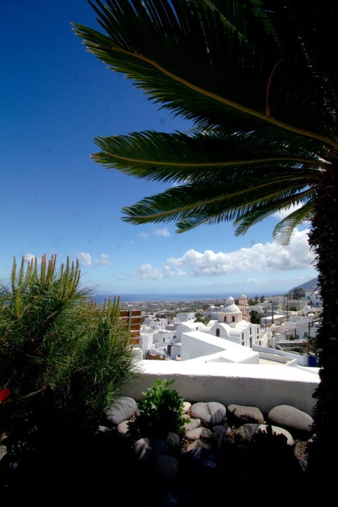 Day, Natural landscape, Garden, View (from property/room), Sea view