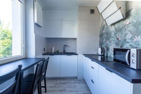 Kitchen or kitchenette, oven, stove