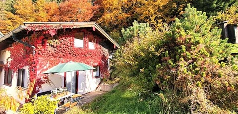 Property building, View (from property/room), Autumn
